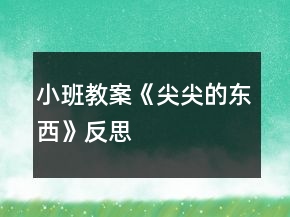 小班教案《尖尖的東西》反思