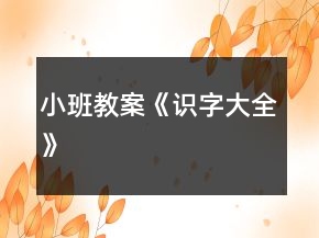 小班教案《識字大全》