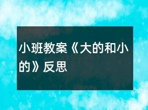 小班教案《大的和小的》反思