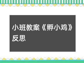 小班教案《孵小雞》反思