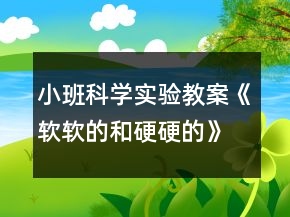 小班科學實驗教案《軟軟的和硬硬的》反思