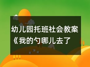 幼兒園托班社會(huì)教案《我的勺哪兒去了》反思