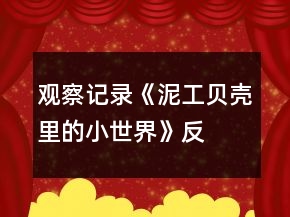 觀察記錄《泥工—貝殼里的小世界》反思