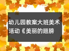 幼兒園教案大班美術(shù)活動(dòng)《美麗的翅膀》反思