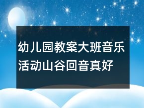 幼兒園教案大班音樂活動：山谷回音真好聽反思