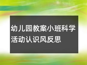 幼兒園教案小班科學(xué)活動：認(rèn)識風(fēng)反思