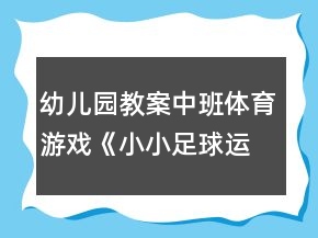 幼兒園教案中班體育游戲《小小足球運(yùn)動(dòng)員》反思