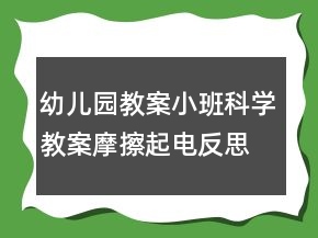 幼兒園教案小班科學(xué)教案：摩擦起電反思