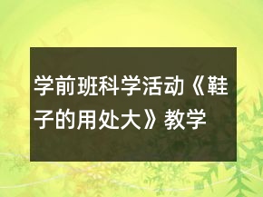 學(xué)前班科學(xué)活動(dòng)《鞋子的用處大》教學(xué)設(shè)計(jì)與反思