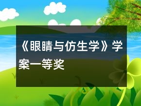 《眼睛與仿生學(xué)》學(xué)案一等獎