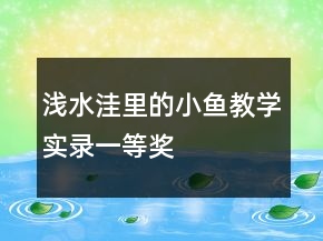 淺水洼里的小魚教學(xué)實(shí)錄一等獎(jiǎng)