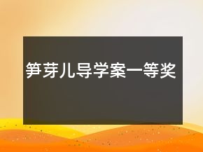 筍芽兒導(dǎo)學(xué)案一等獎
