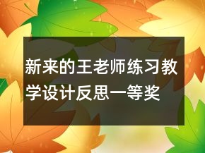 新來(lái)的王老師練習(xí)教學(xué)設(shè)計(jì)反思一等獎(jiǎng)