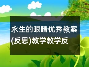 永生的眼睛優(yōu)秀教案(反思)教學(xué)教學(xué)反思一等獎(jiǎng)