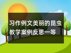 習(xí)作例文：美麗的昆蟲(chóng)教學(xué)案例反思一等獎(jiǎng)