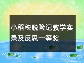 小稻秧脫險(xiǎn)記教學(xué)實(shí)錄及反思一等獎(jiǎng)