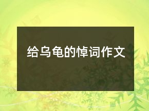 給烏龜?shù)牡吭~作文