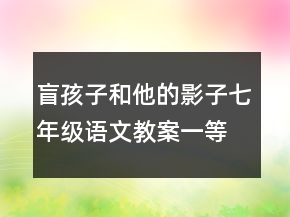 盲孩子和他的影子七年級(jí)語(yǔ)文教案一等獎(jiǎng)