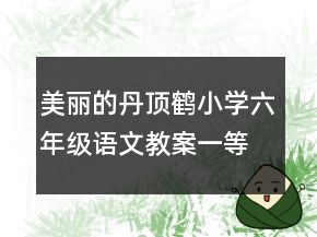 美麗的丹頂鶴小學(xué)六年級語文教案一等獎