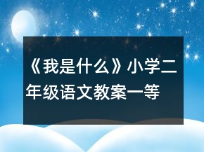 《我是什么》小學(xué)二年級語文教案一等獎