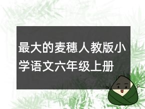 最大的麥穗人教版小學(xué)語(yǔ)文六年級(jí)上冊(cè)說課稿一等獎(jiǎng)