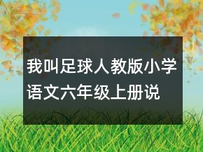 我叫足球人教版小學(xué)語文六年級(jí)上冊(cè)說課稿一等獎(jiǎng)