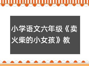 小學(xué)語(yǔ)文六年級(jí)《賣火柴的小女孩》教案一等獎(jiǎng)