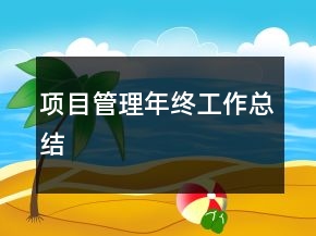 項目管理年終工作總結(jié)