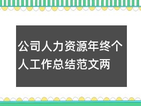 公司人力資源年終個人工作總結(jié)范文兩
