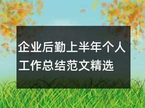 企業(yè)后勤上半年個人工作總結(jié)范文精選兩