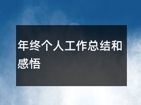 年終個人工作總結(jié)和感悟
