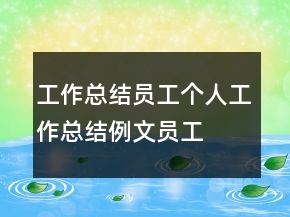 工作總結(jié),員工個(gè)人工作總結(jié)例文,員工個(gè)人年度工作總結(jié)