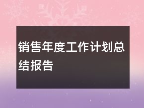 銷售年度工作計劃總結(jié)報告
