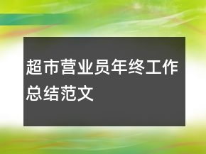 超市營業(yè)員年終工作總結范文