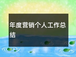 年度營銷個(gè)人工作總結(jié)