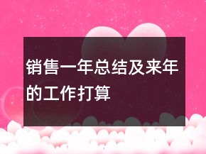 銷售一年總結(jié)及來年的工作打算
