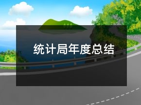 統(tǒng)計局年度總結(jié)