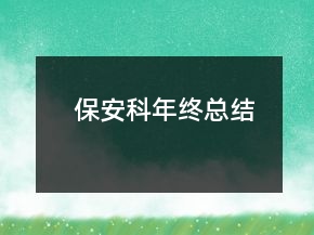 保安科年終總結(jié)