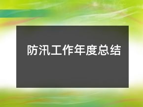 防汛工作年度總結(jié)