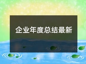 企業(yè)年度總結(jié)最新