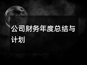 公司財(cái)務(wù)年度總結(jié)與計(jì)劃