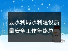 縣水利局水利建設(shè)質(zhì)量安全工作年終總結(jié)
