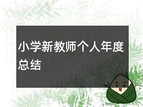 小學新教師個人年度總結