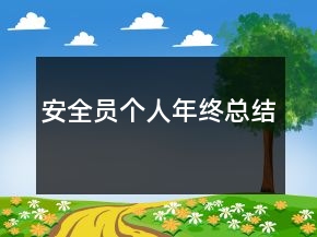 安全員個(gè)人年終總結(jié)