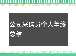 公司采購員個人年終總結(jié)