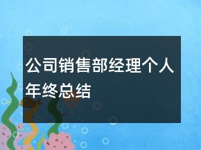 公司銷售部經(jīng)理個(gè)人年終總結(jié)