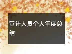 審計人員個人年度總結(jié)