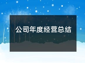 公司年度經(jīng)營總結(jié)