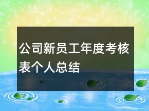 公司新員工年度考核表個人總結(jié)