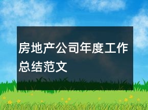 房地產(chǎn)公司年度工作總結(jié)范文